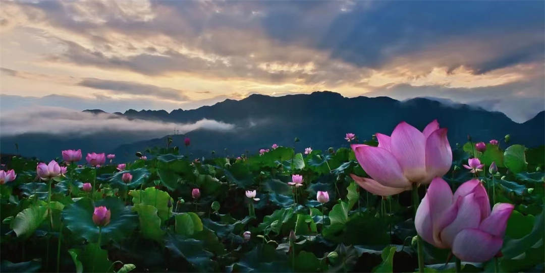 槍林企管分享：領(lǐng)導(dǎo)，你做的合格嗎？